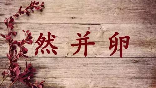 luna洁面仪真假,贝儿洁面仪