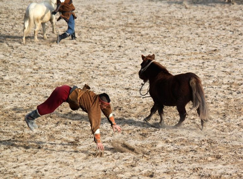 百年前,中国一藩属国秘密往中国输送人种,结果被它邻居打得吐血