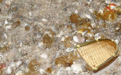 诱捕蜈蚣剂的配方和使用方法,蜈蚣诱捕技术