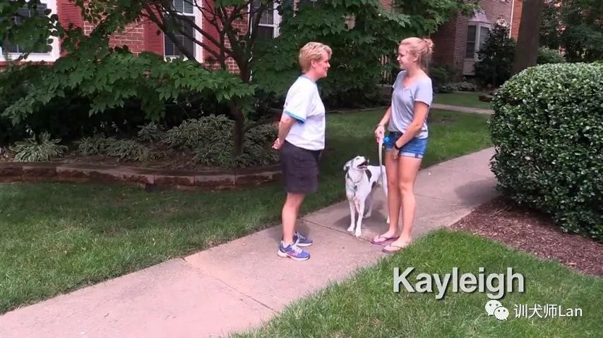 如何安全的让狗狗跟着你,如何与敏感的狗狗相处