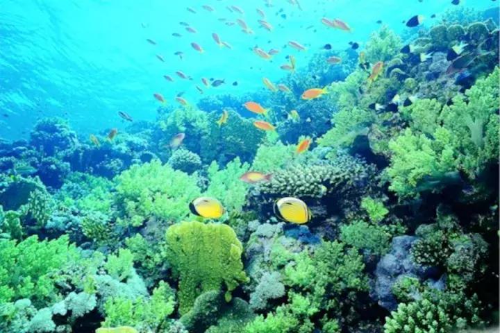 只对中国人开放的岛,只对中国人开放的沙漠