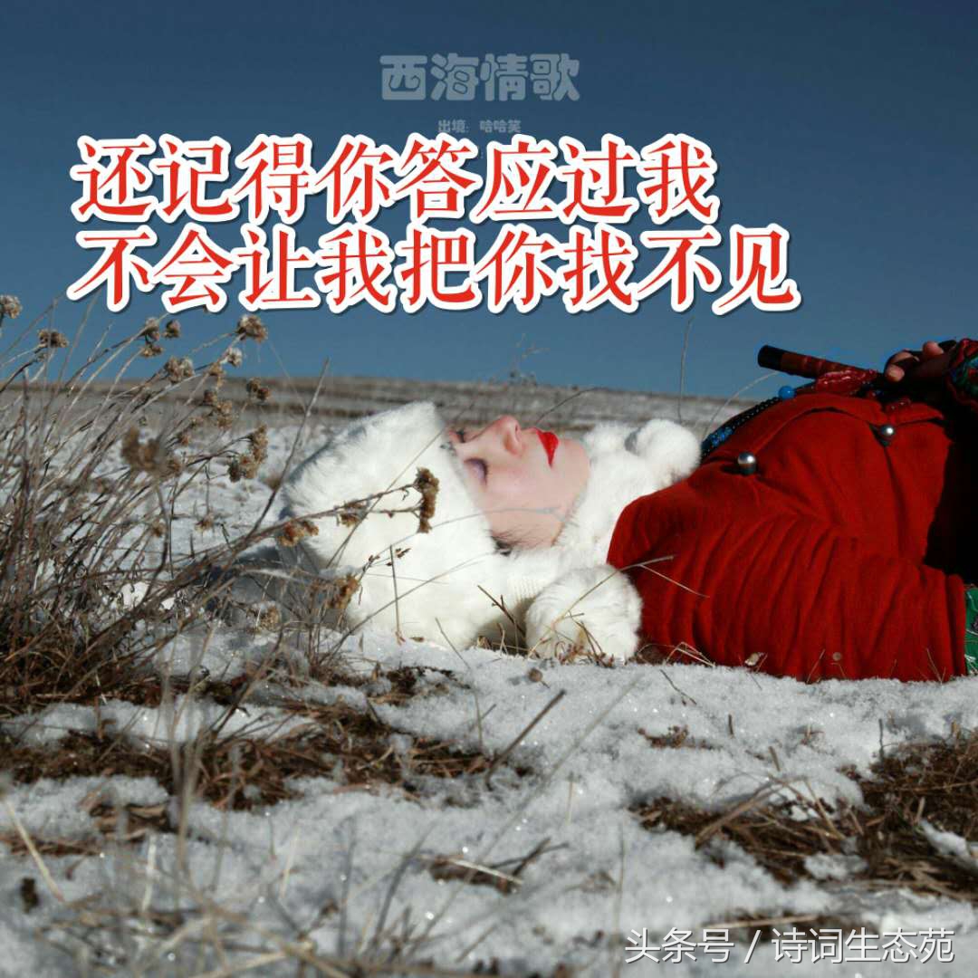 西海情歌背后的凄美爱情故事图片,讲述西海情歌背后的凄美爱情故事