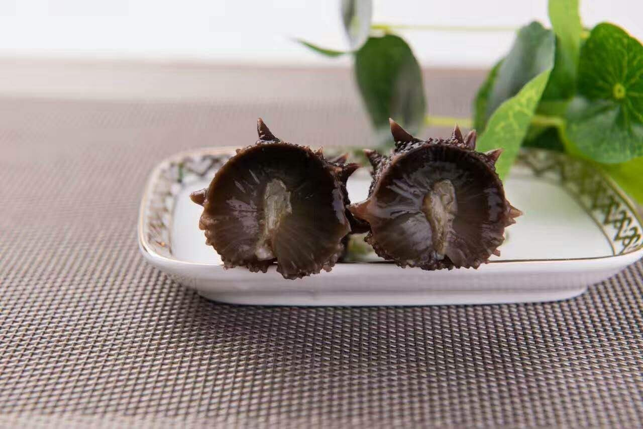 天天吃海参的人之后的感想,常吃海参的人身体会发生哪些变化