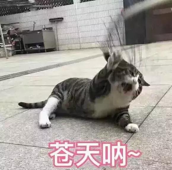 大揭秘!我是从哪得来的勇气，敢把孩子交给他爹一个人带？