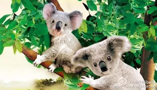 广州长隆亲子游最省钱攻略,广州长隆亲子游最全游玩攻略