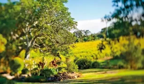 痘肌好物推荐一下,超实用祛痘好物