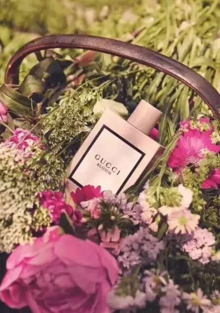 春娇喜欢的东西 (春娇最喜欢的东西)