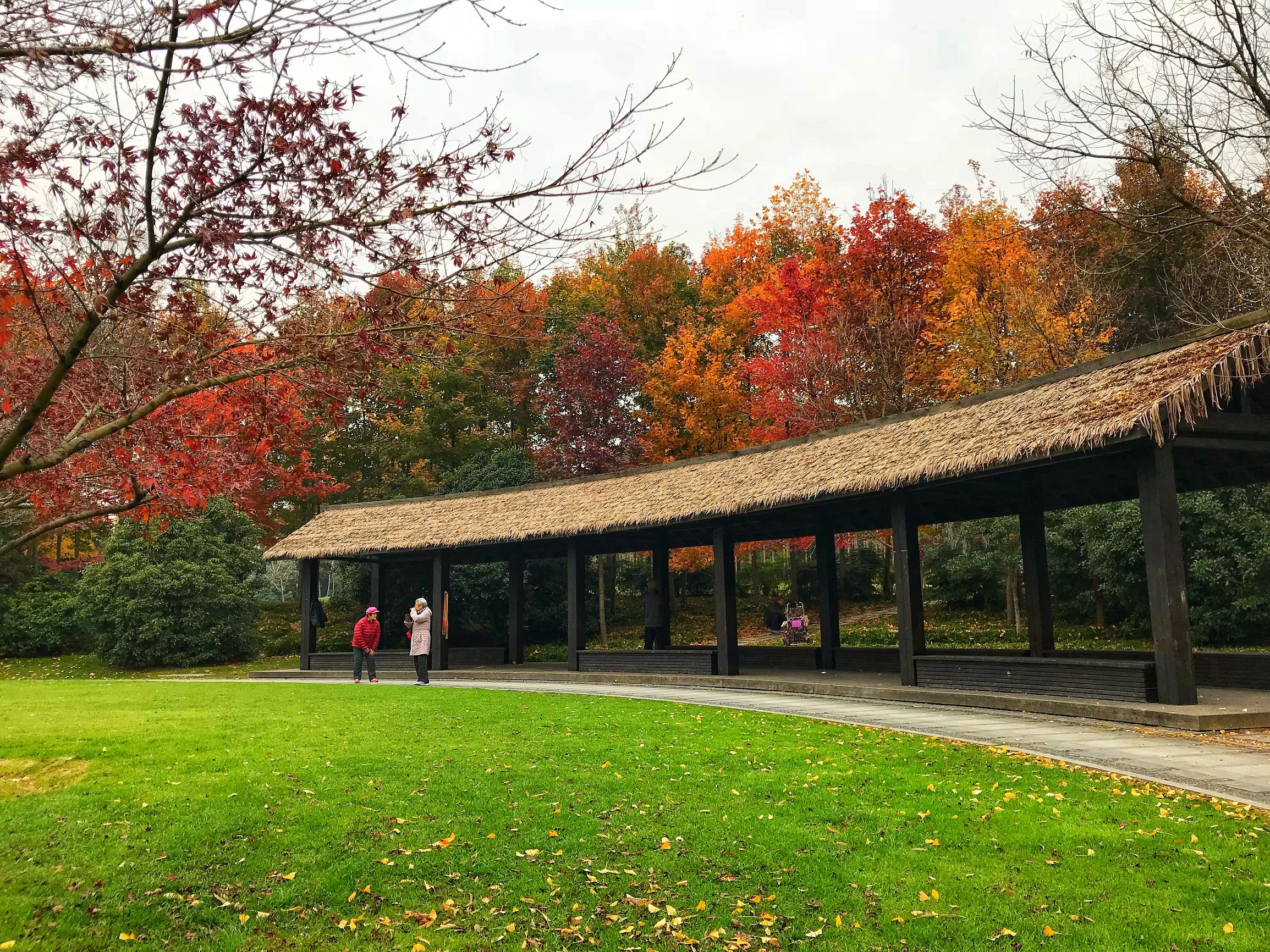 上海浦东世纪公园秋季,上海浦东新区世纪公园