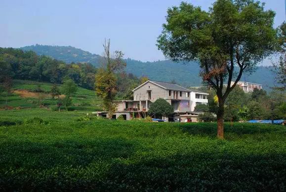 滴滴女司机开民宿,滴滴转民宿