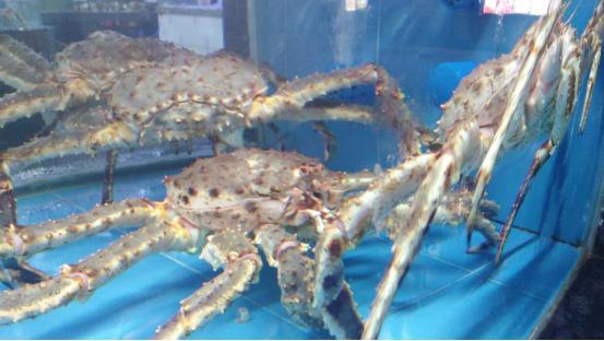 三亚市最美的景色拍摄,拍摄美丽三亚