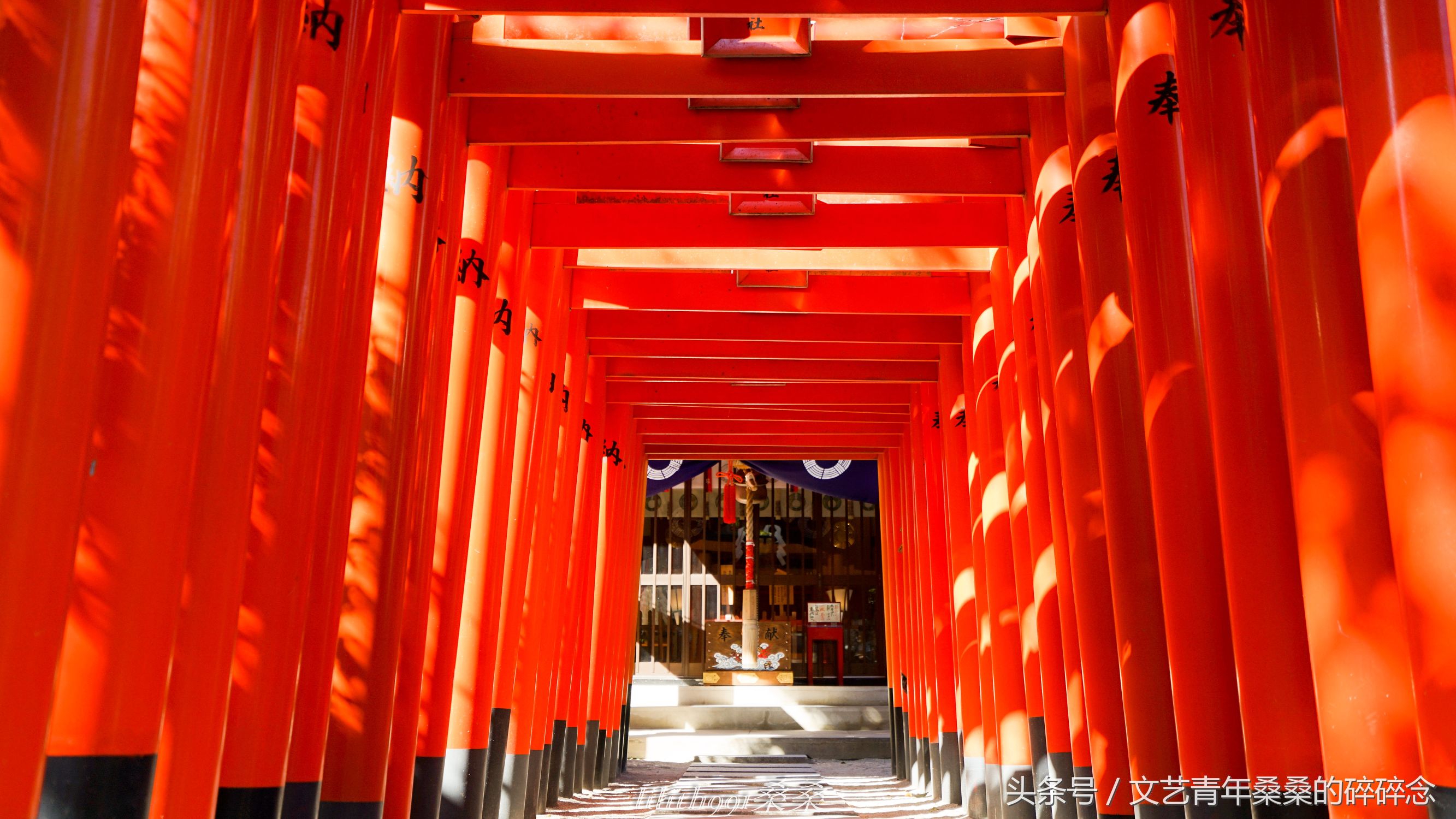 诺唯真邮轮喜悦号攻略,诺维真喜悦号日本游