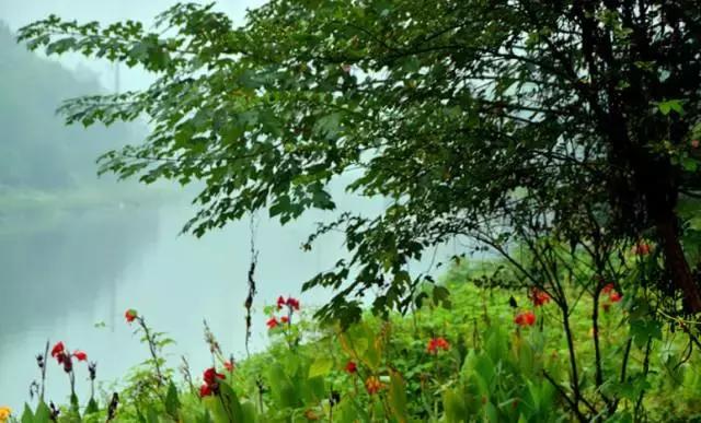 武汉地铁2号线有什么玩的,武汉哪条地铁线最方便