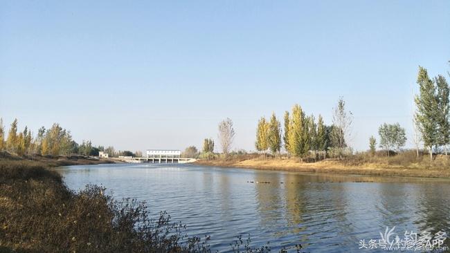 冬钓封竿,冬钓鲫鱼爆护