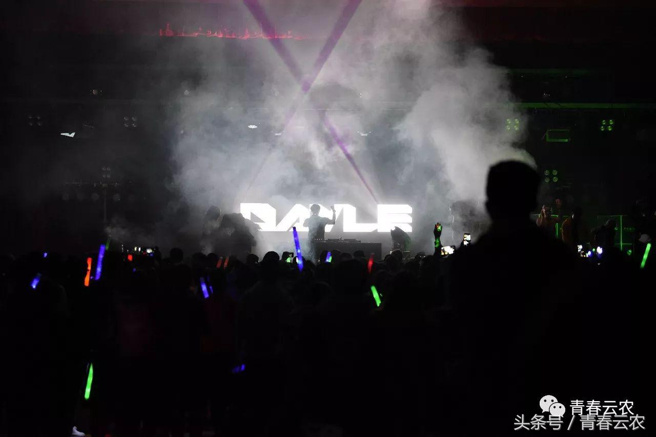 社团嘉年华会场,社团嘉年华图片大全