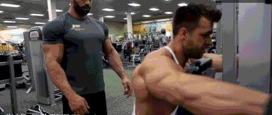 后束肌肉训练方法,后束训练三头发力