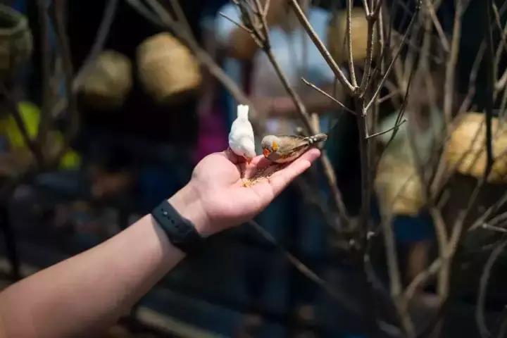 武汉地铁2号线有什么玩的,武汉哪条地铁线最方便