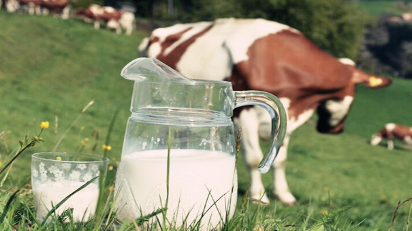 孩子上幼儿园上火喝点什么去火,孩子眼睛上火怎么快速去火