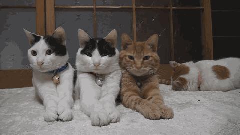 安瓶爆款榜,安瓶推荐什么牌子