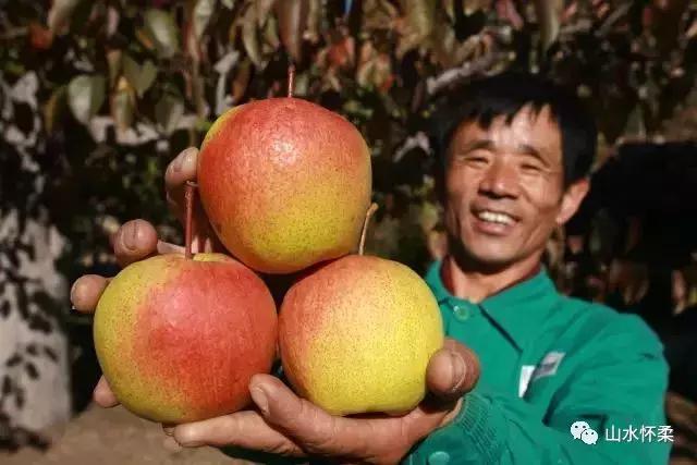 双十二优选好物,怀柔土特产有哪些值得买