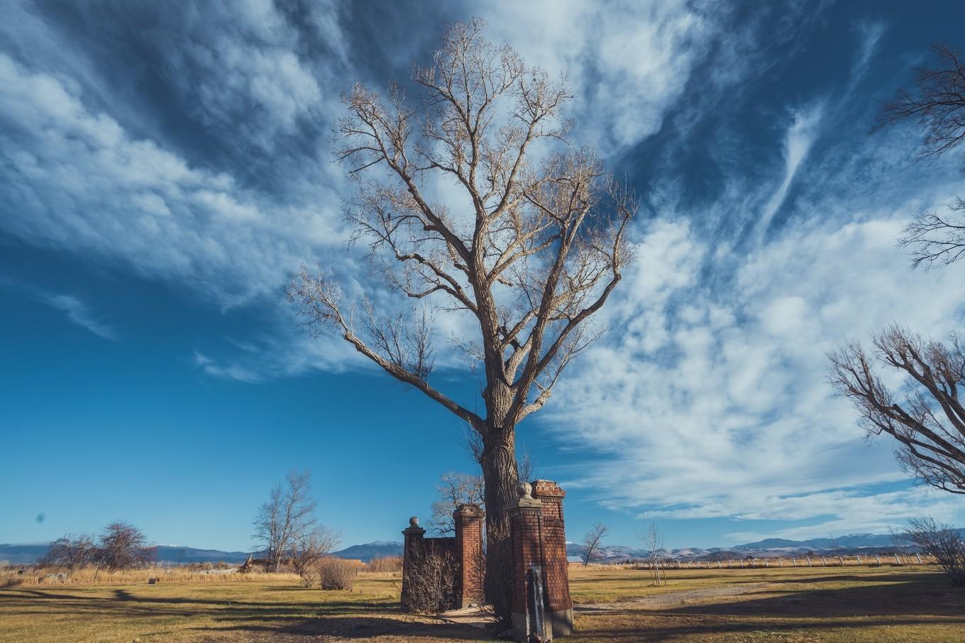 内华达州，孤独颂唱着苍茫西部的沉浮岁月