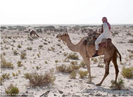 少有人知道的几个冷知识,不为外人知道的冷知识