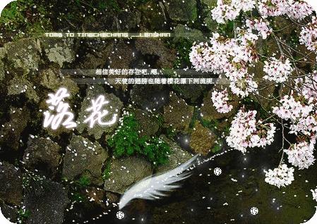 因为你不喜欢我所以你不明白,因为你不喜欢我