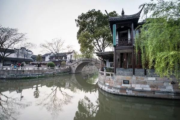 万万没想到!它低调了450多年,却因上海迪士尼一夜间火遍全国!