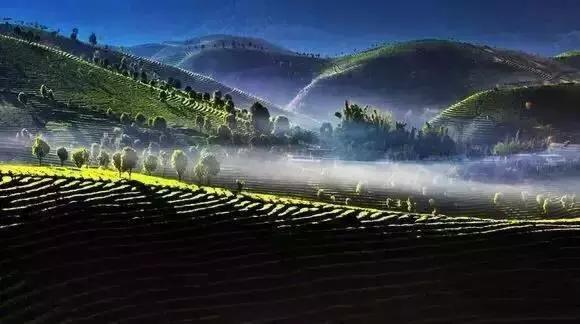 多彩的西双版纳,多彩云南版纳