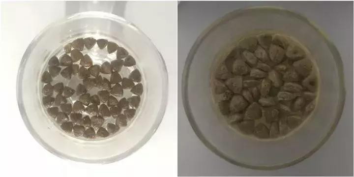 海洋之星质量好吗,海洋之星新品测评