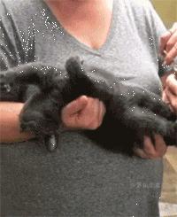 搞笑gif趣图舔冰激凌,少林龙爪手搞笑图片图文