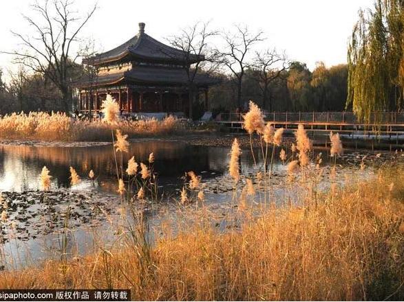 5月北京最值得去18个绝美天堂,11月北京周边游必去第一名