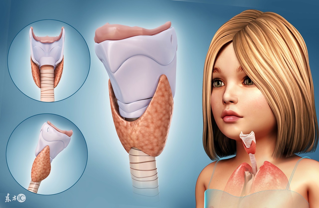 甲状腺同位素I131,131i甲状腺功能测定不能吃什么