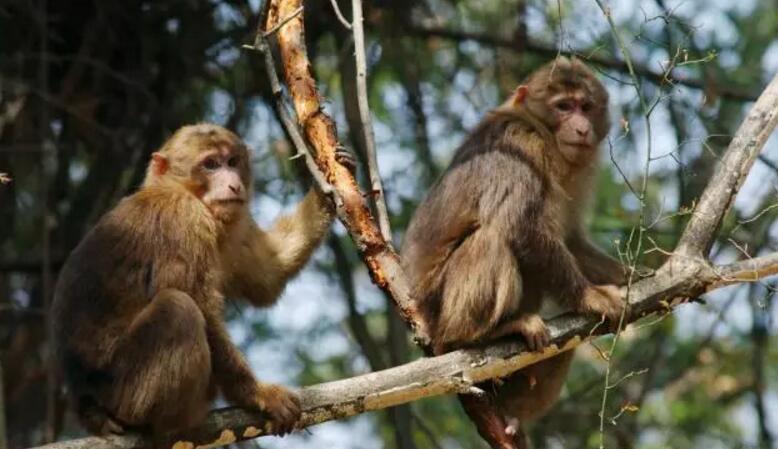 中国最牛的一个省会,中国最牛的一个县城