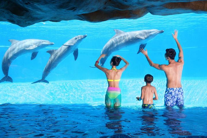 珠海长隆吃住行最全攻略,珠海长隆攻略两天一夜套票哪里买