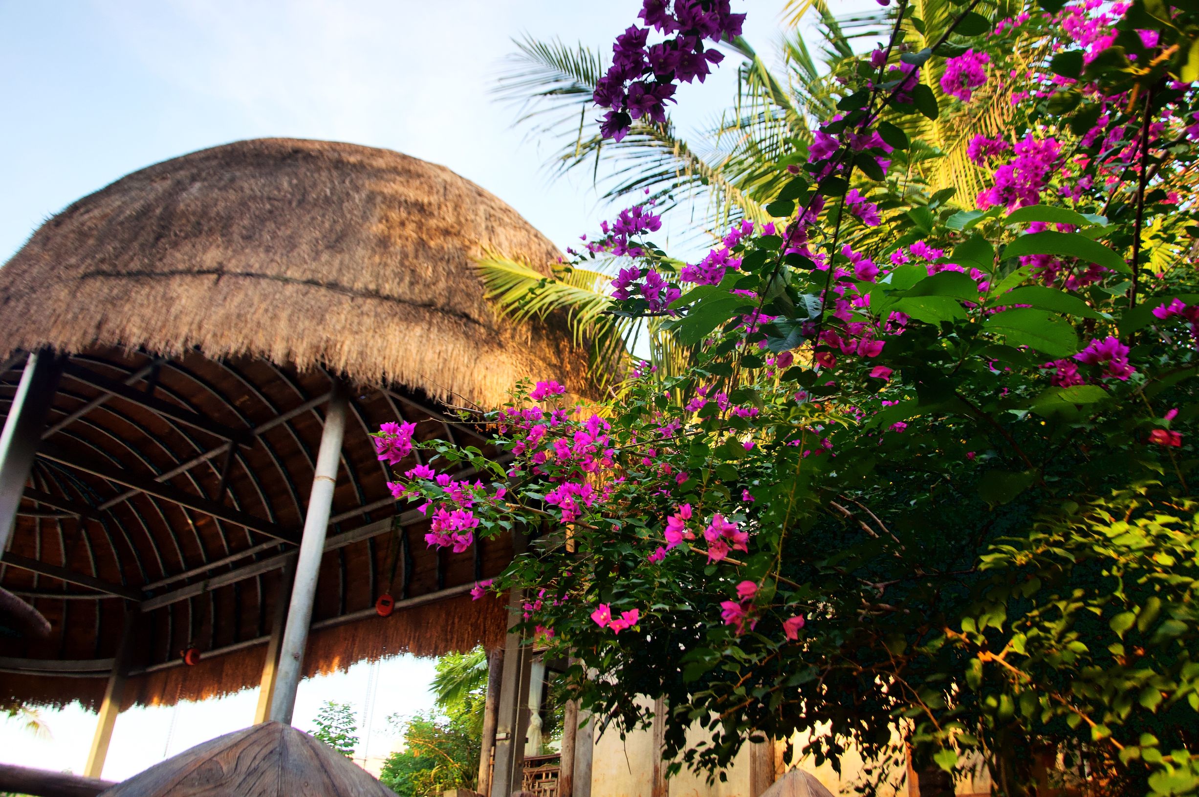 三亚度假巨无霸五天五夜玩不腻,避寒之旅三亚