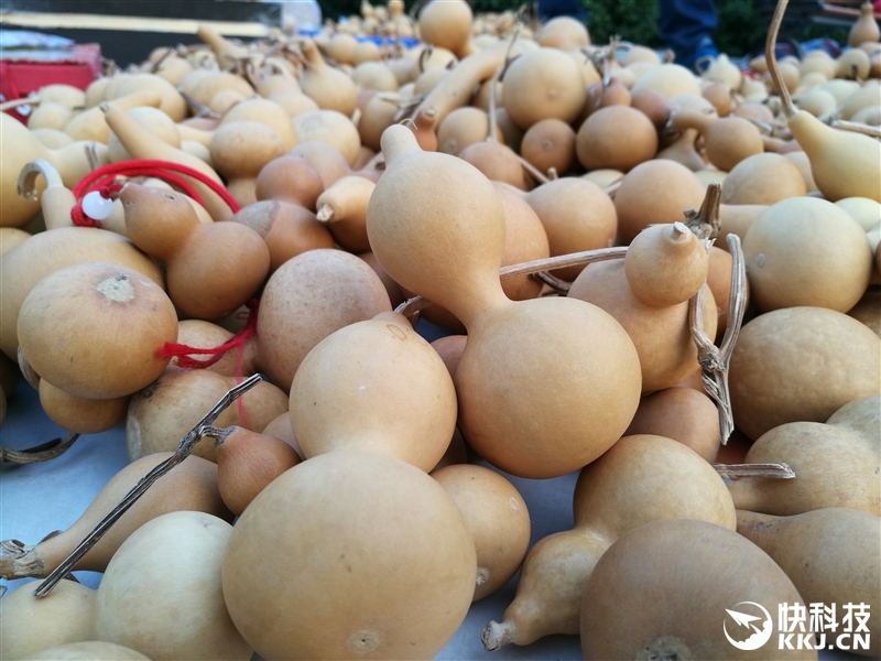 华为手机徕卡标准拍照,华为手机哪款是徕卡镜头