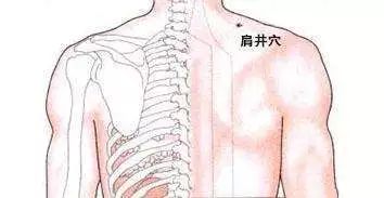 气伤身用什么调理,健康生气百害无一利