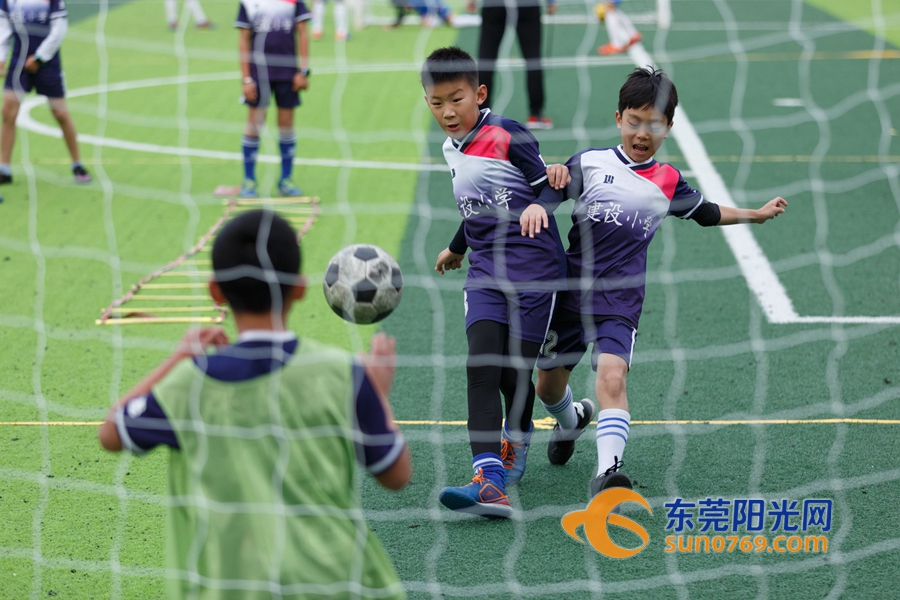 世界花式足球日快乐,世界足球日主题活动