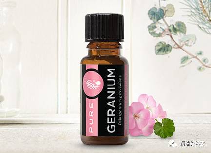 寒冷冬季，干燥肌肤不能错过的6款精油！