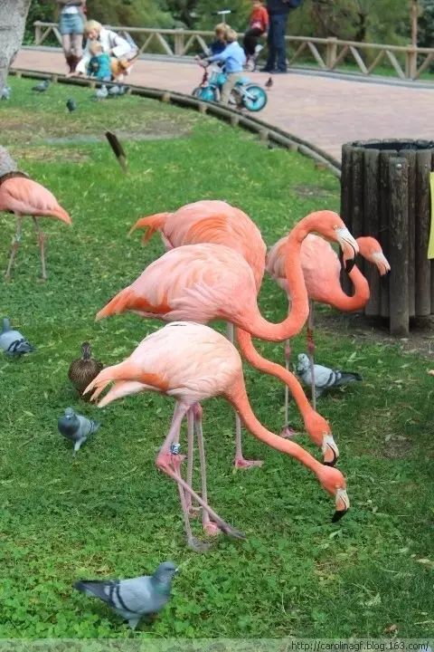 马德里周末去哪玩好呢,你还呆在家里无聊吗