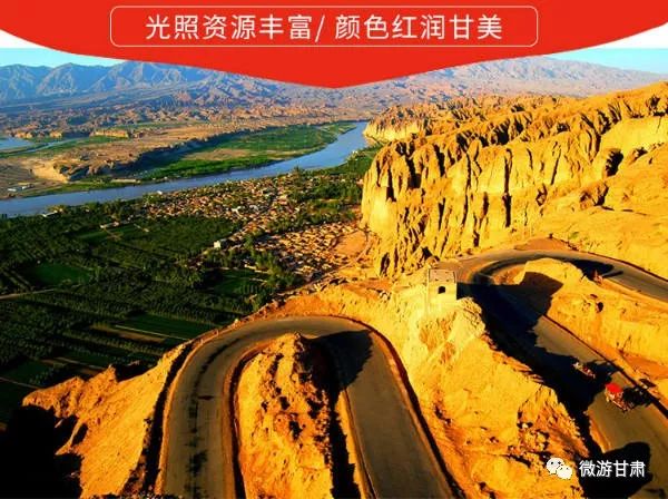 陇原县特产,正宗宁夏中宁纯头茬贡果枸杞子