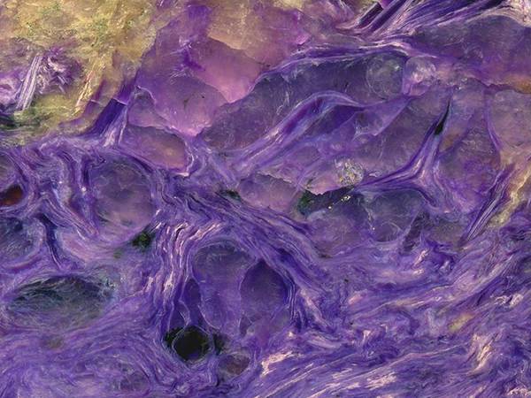 教育从新开始,教育从春天出发