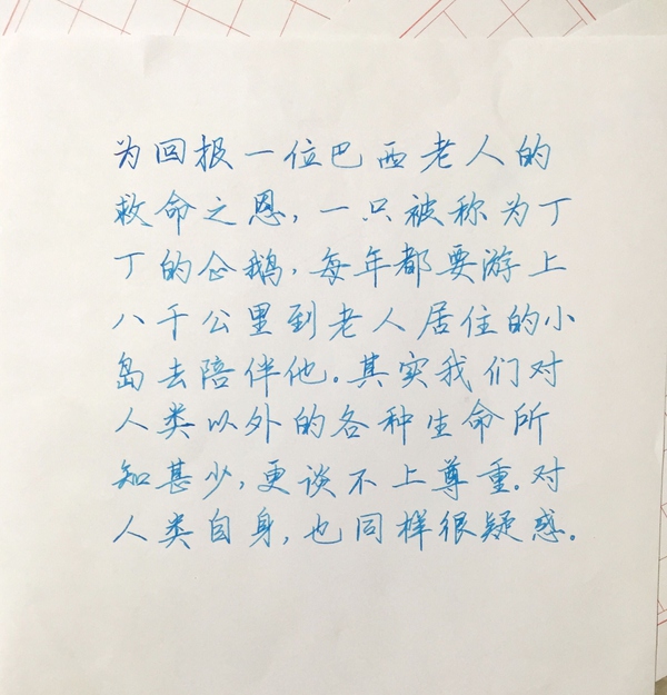 一支钢笔可以用不同颜色的墨水吗,钢笔用什么颜色的墨水才炫酷