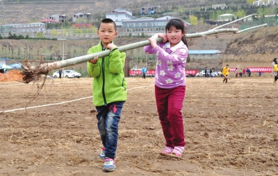 亲子情感依恋,亲子情感完整版