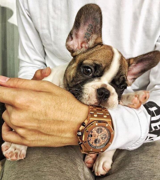 冬天适合的腕表,适合冬季腕表