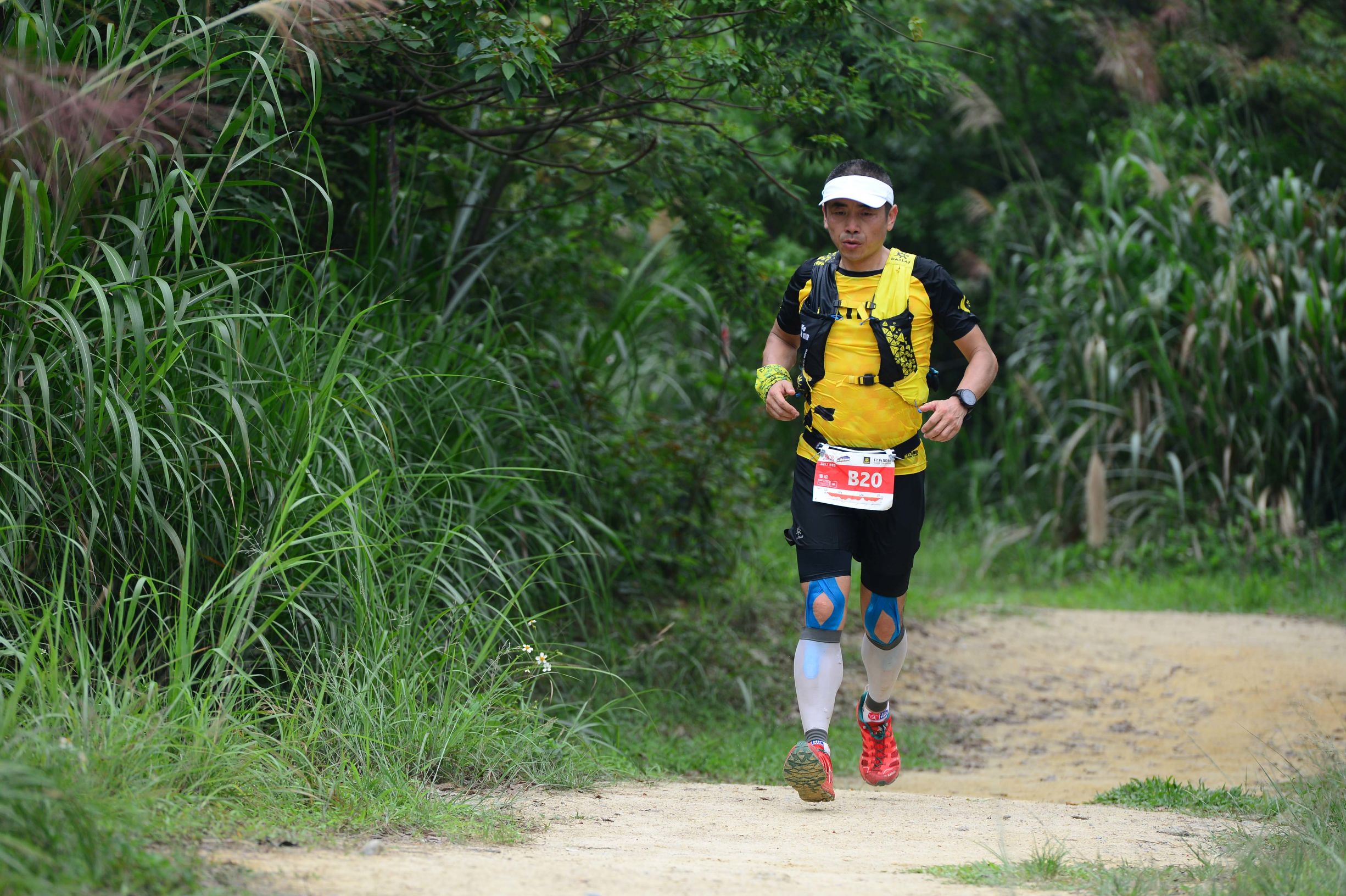 广马,广马宣传大使