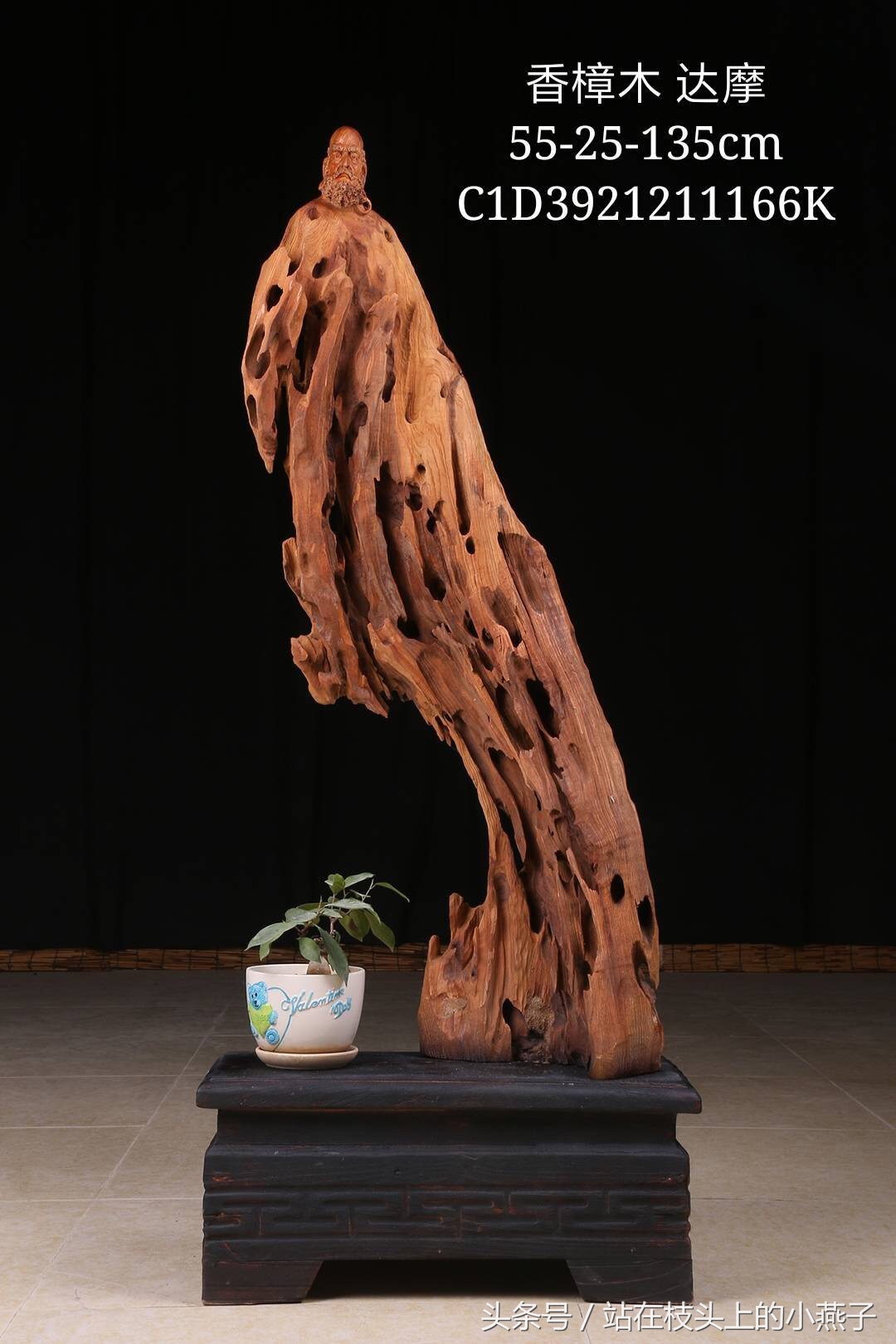 达摩面壁九年一朝得道,达摩面壁九年醒来第一句说了什么