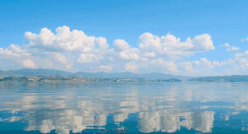 今天12306可以抢元旦车票啦！想买票？过了这关再说