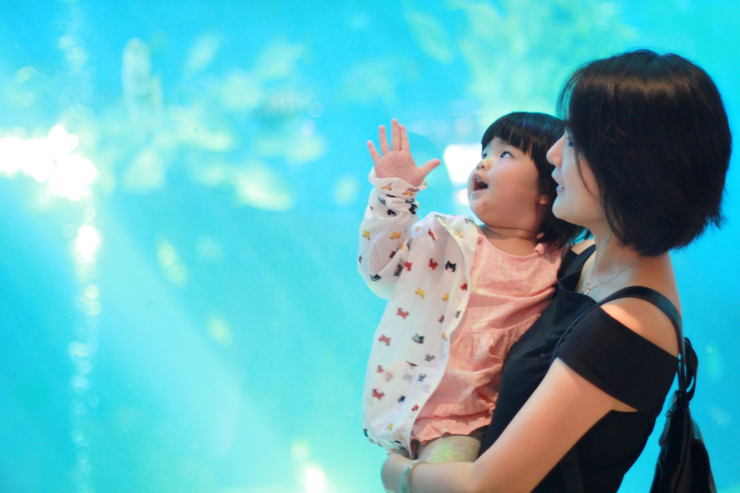 三亚度假巨无霸五天五夜玩不腻,避寒之旅三亚