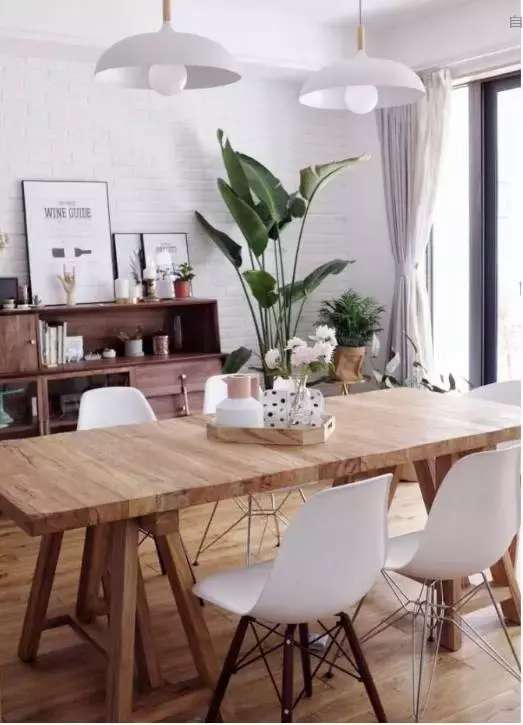 爱种花的姑娘,爱养花的女人都想把生活过的精致